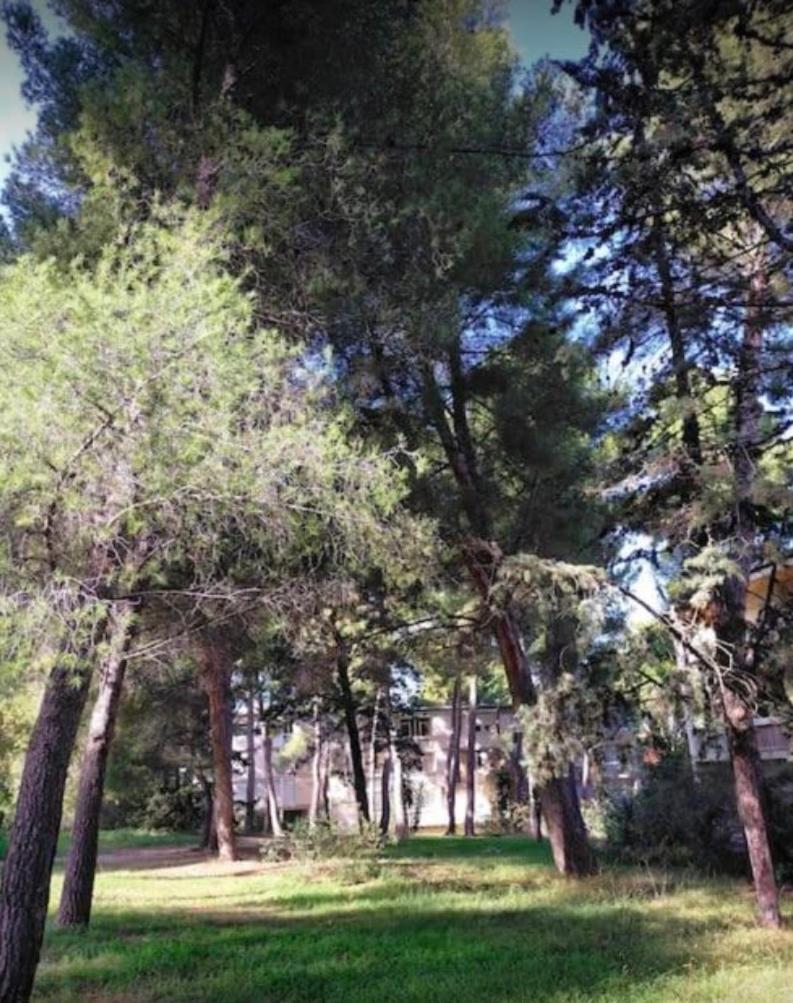 Studio Marseille Calanques Экстерьер фото