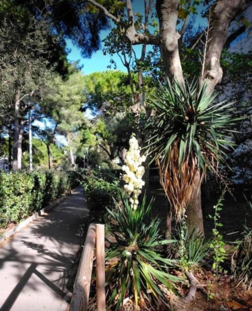 Studio Marseille Calanques Экстерьер фото